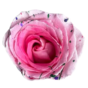 170. Pink Confetti