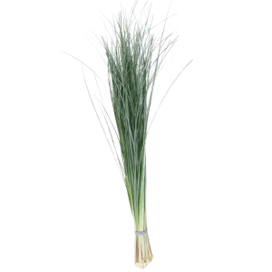 39. Bear Grass