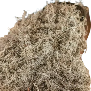 42. Spanish Moss