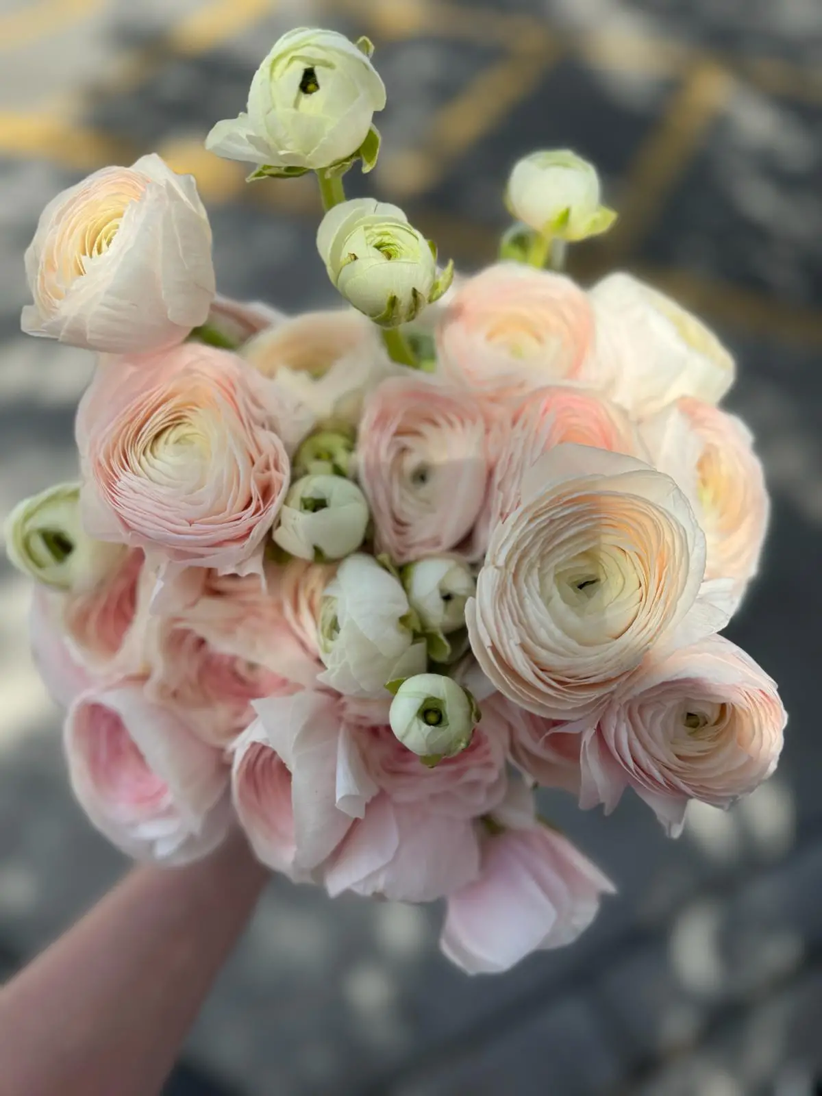 Valentine Specialty Bloom