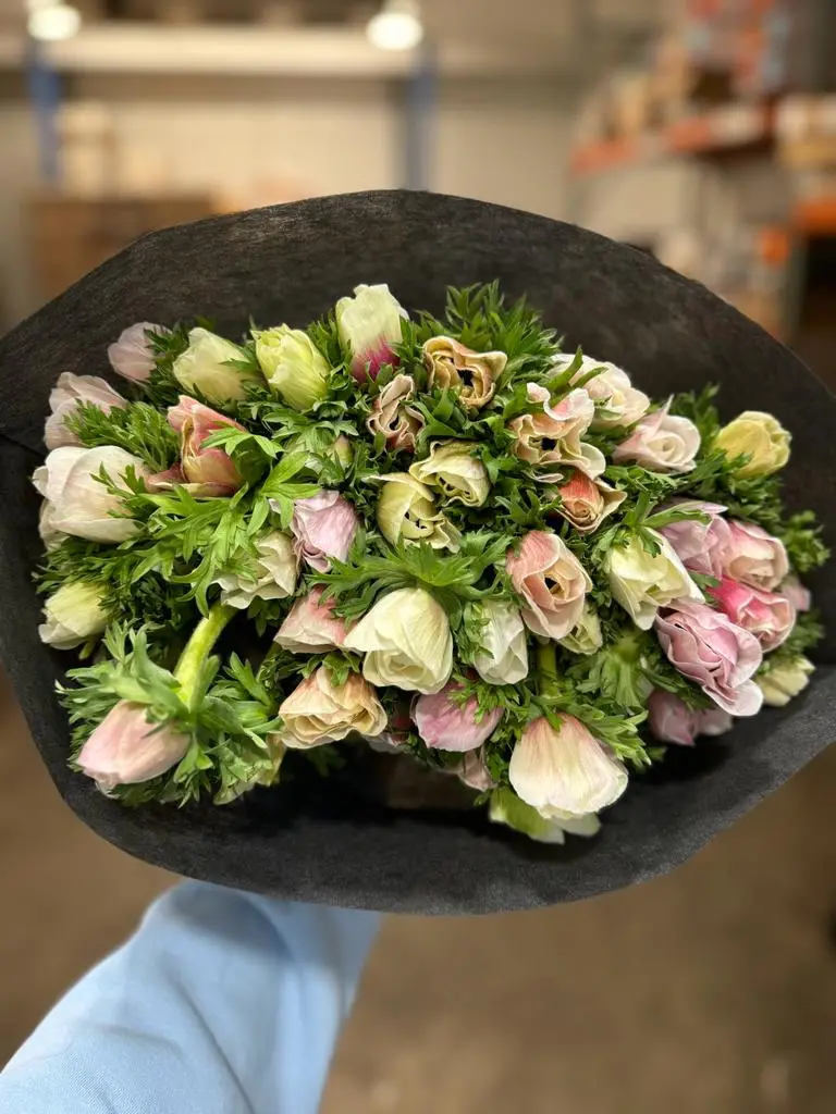 Valentine Specialty Bloom