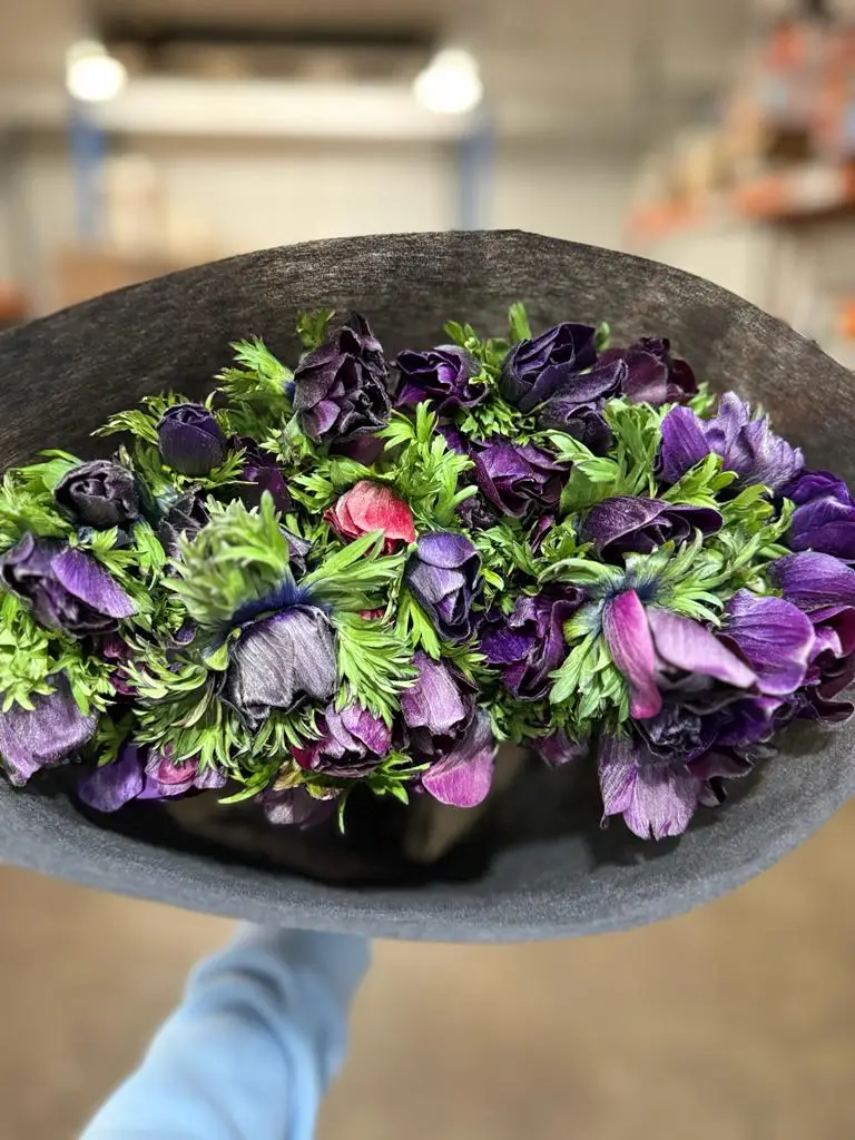 Valentine Specialty Bloom