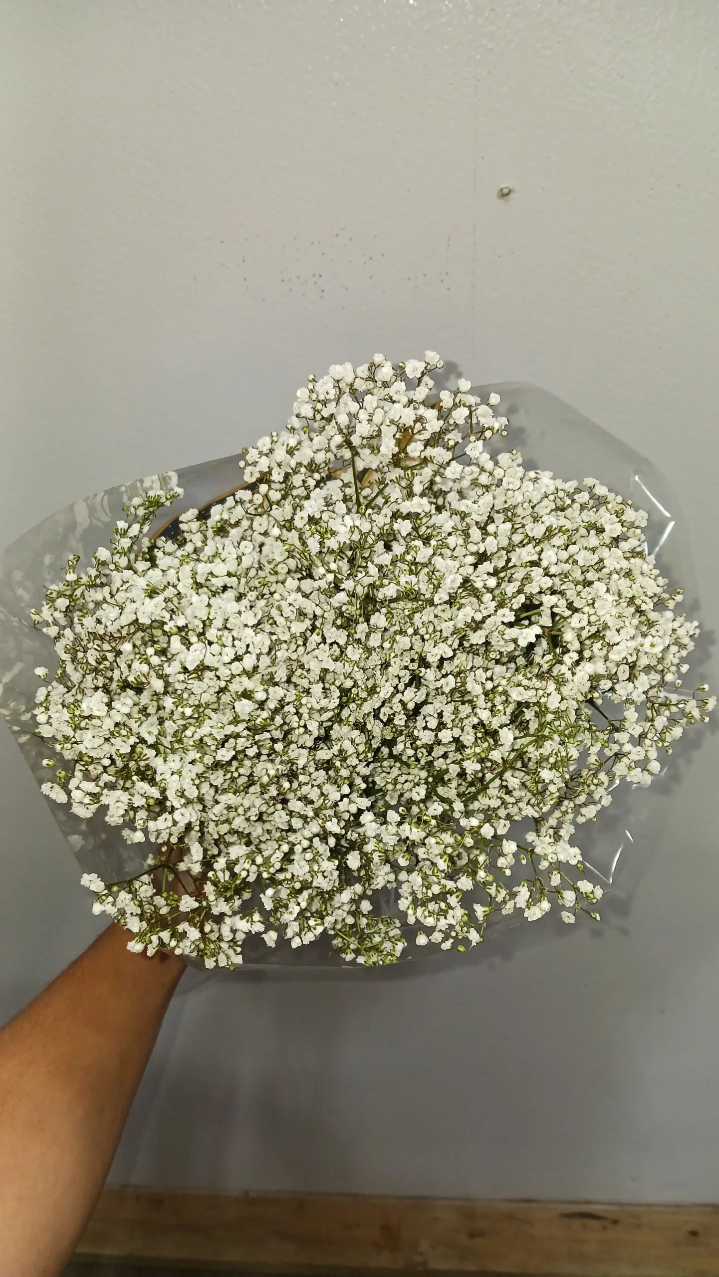Valentine Filler Variety