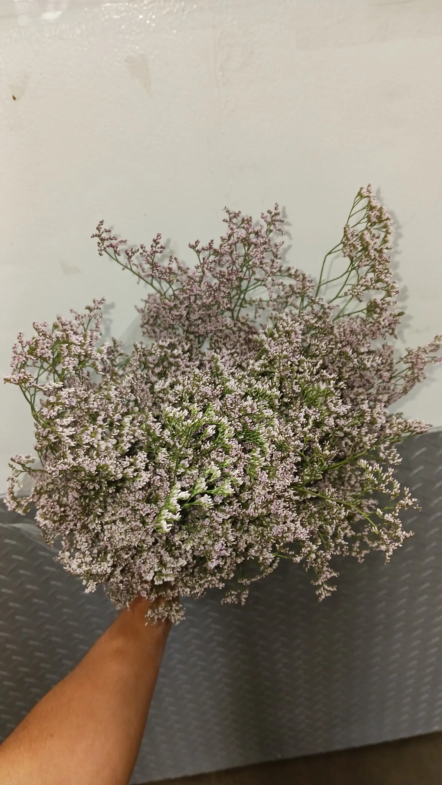 Valentine Filler Variety