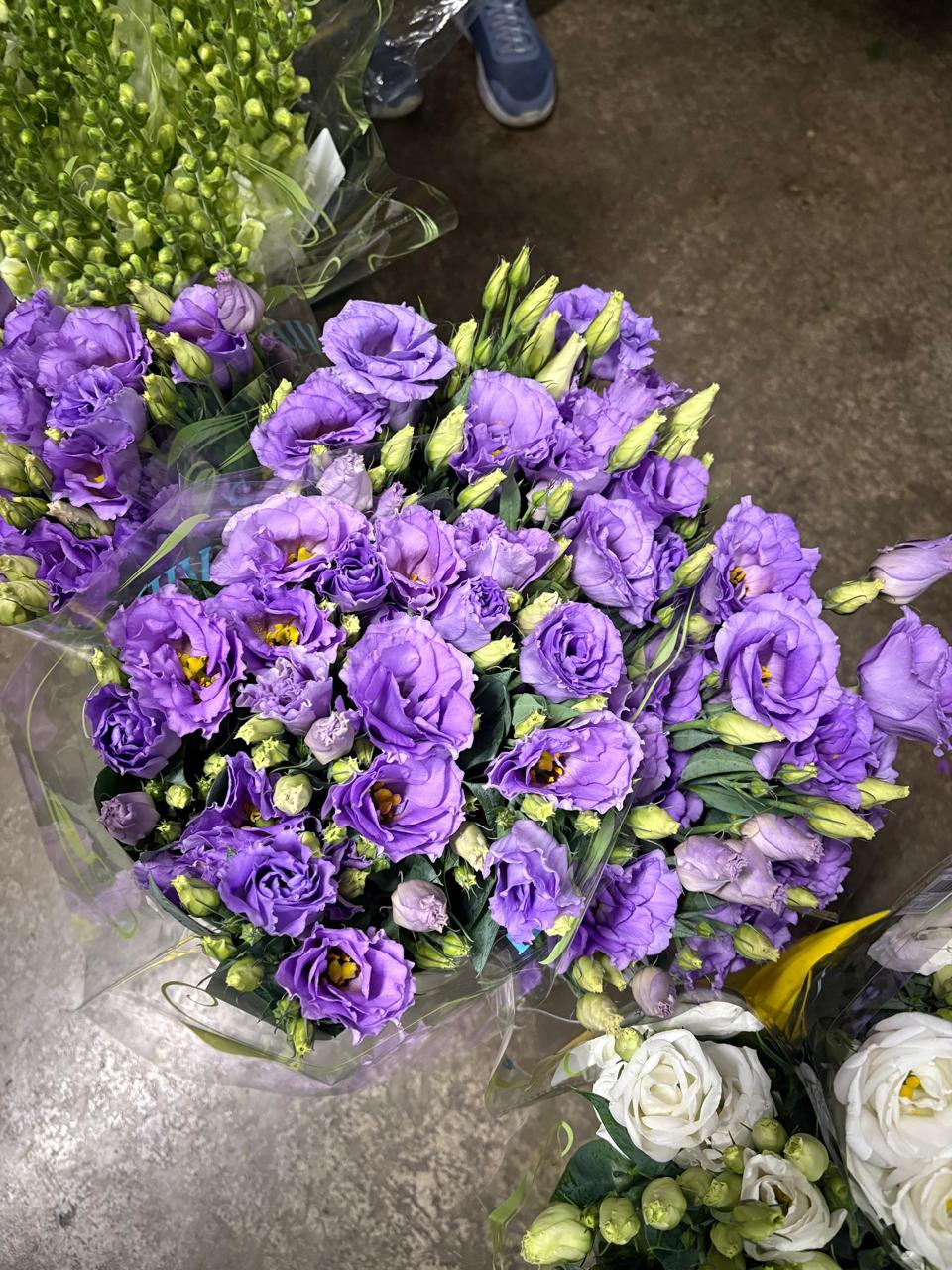 Lisianthus Variety
